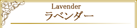 ラベンダー Lavender